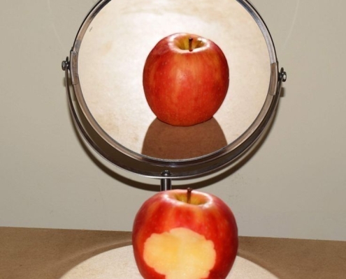 La importancia de optimizar tu web y su efecto en el SEO La importancia de optimizar tu web y su efecto en el SEO